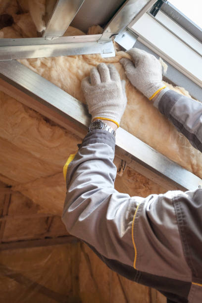 Best Insulation for New Construction  in Homerville, GA